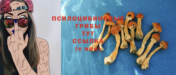 ешки Новокубанск