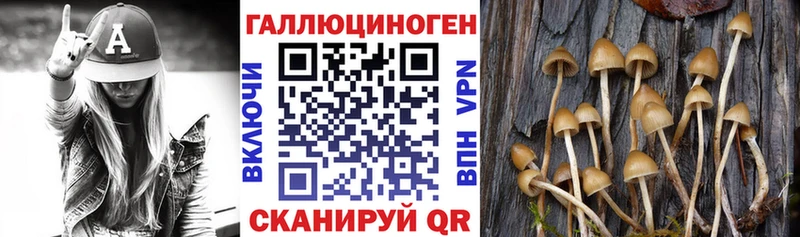 Галлюциногенные грибы ЛСД  Купить закладки  Шимановск 